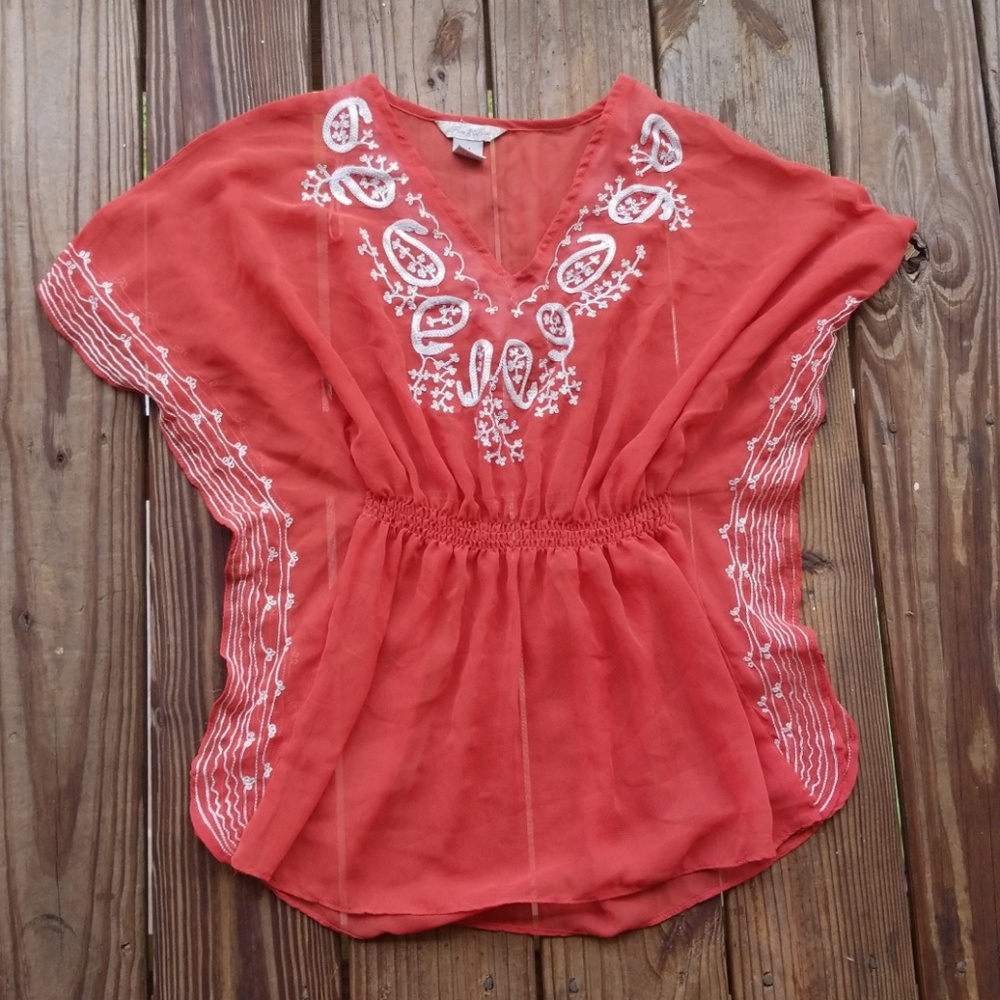 Fun & Flirt Sheer Embroidered Top